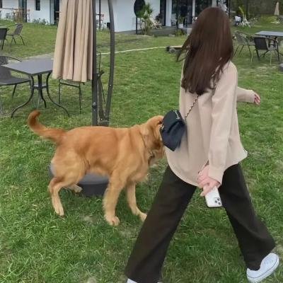 鬼干部